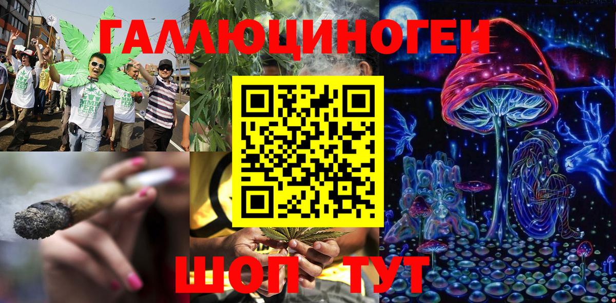Галлюциногенные грибы Cubensis Ипатово