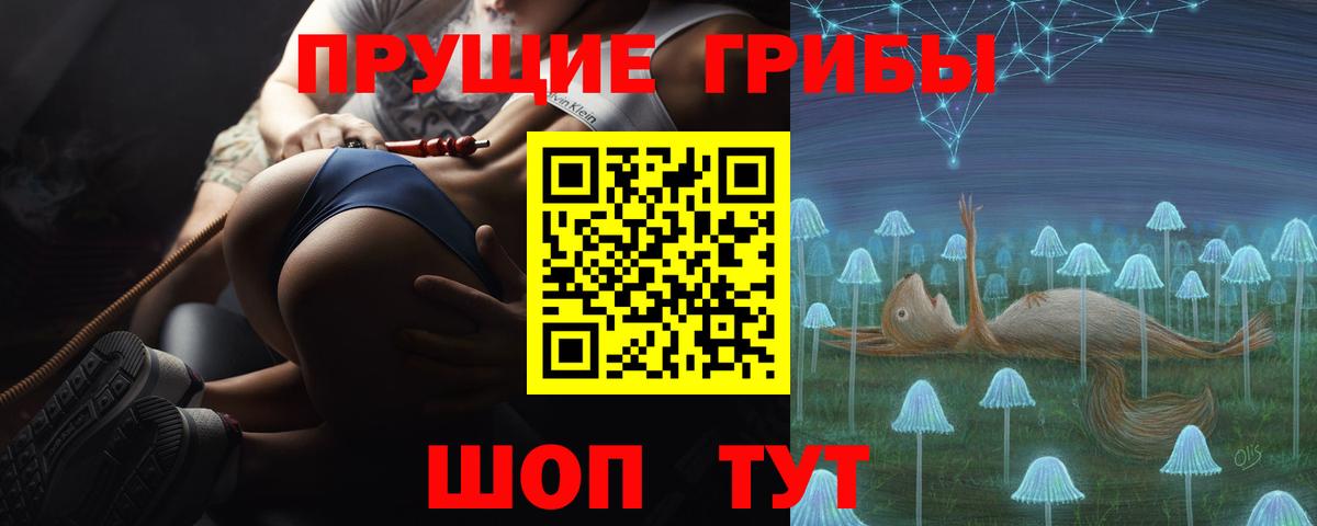 Галлюциногенные грибы Psilocybe  Псилоцибиновые грибы ЛСД  Вход с VPN  Ипатово 